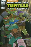 TEENAGE MUTANT NINJA TURTLES NEW ANIMATED ADVENTURES #19-SUB 