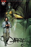 THE DARKNESS: HOLIDAY PINUP SPECIAL #1-AMERE-B 
