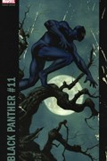 BLACK PANTHER #11C 
