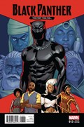 BLACK PANTHER #13C 