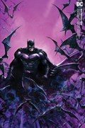 BATMAN #134-CRAIN-B 