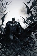 BATMAN #134-DFXPO-C 