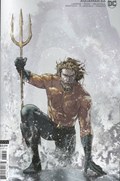 AQUAMAN #66B 