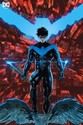 NIGHTWING #100E 