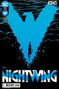 NIGHTWING #109 