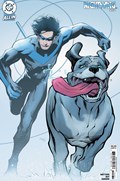 NIGHTWING #124C 