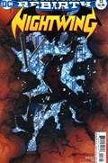 NIGHTWING #13B 