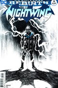 NIGHTWING #14B 