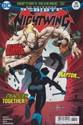 NIGHTWING #30 