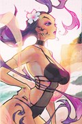STREET FIGHTER SWIMSUIT SPECIAL #2022D 