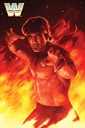 WWE #11-RI 