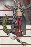 WWE #19C 