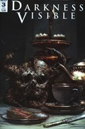 DARKNESS VISIBLE #3-SUB 