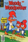 WOODY WOODPECKER #172 