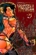 VENGEANCE OF VAMPIRELLA #25 