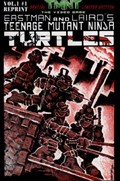 TEENAGE MUTANT NINJA TURTLES #1B 