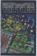 TEENAGE MUTANT NINJA TURTLES #1D 