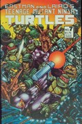TEENAGE MUTANT NINJA TURTLES #7 