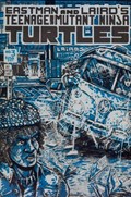 TEENAGE MUTANT NINJA TURTLES #3-NYCC 