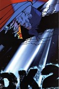 THE DARK KNIGHT STRIKES AGAIN #2 